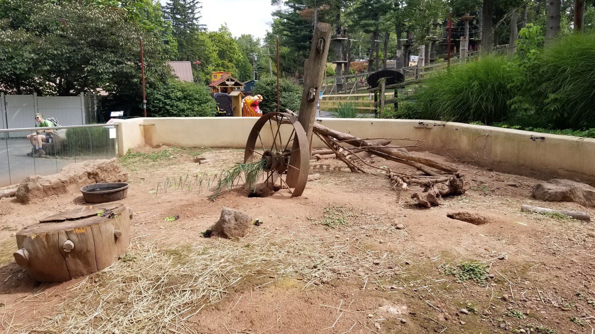 Elmwood Park - Blacktailed prairie dog exhibit from behind