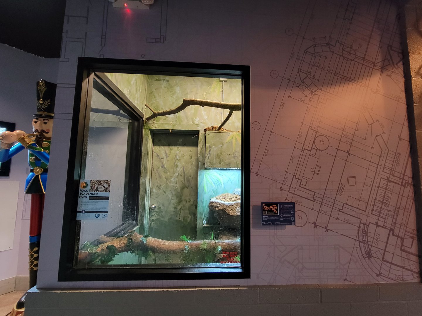 Elmwood Park - Boa constrictor