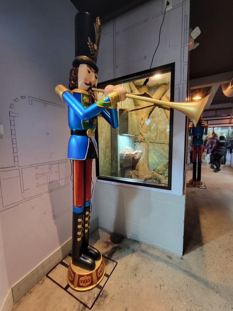 Elmwood Park - Boa constrictor