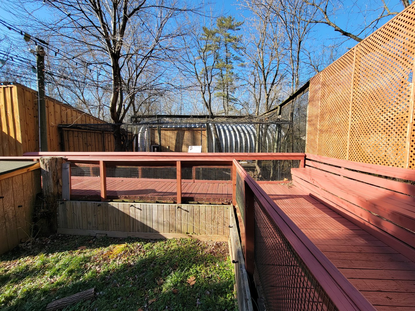 Elmwood Park - Bobcat