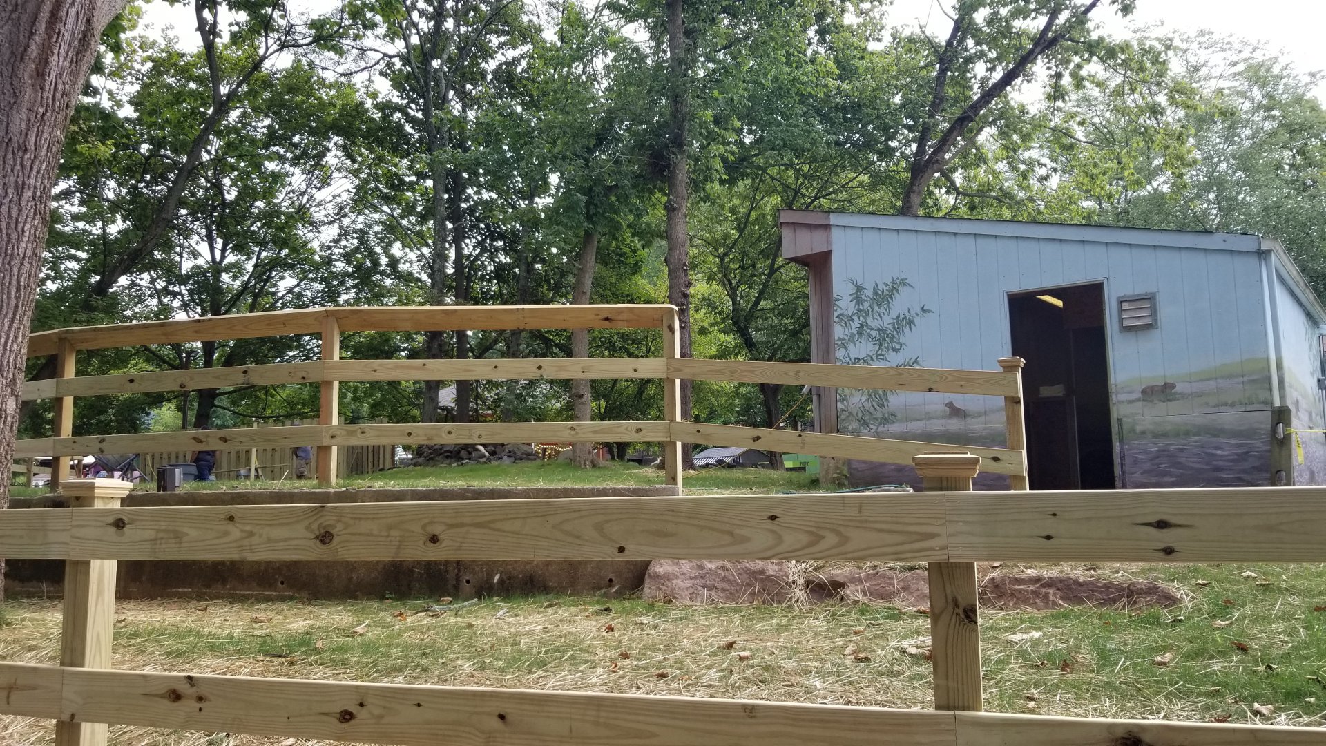 Elmwood Park - Capybara yard under construction