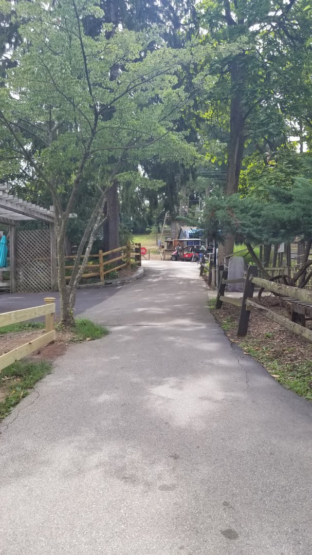 Elmwood Park - Cut through path in front of bison