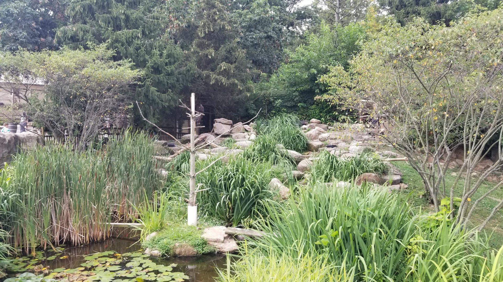 Elmwood Park - Eagles exhibit