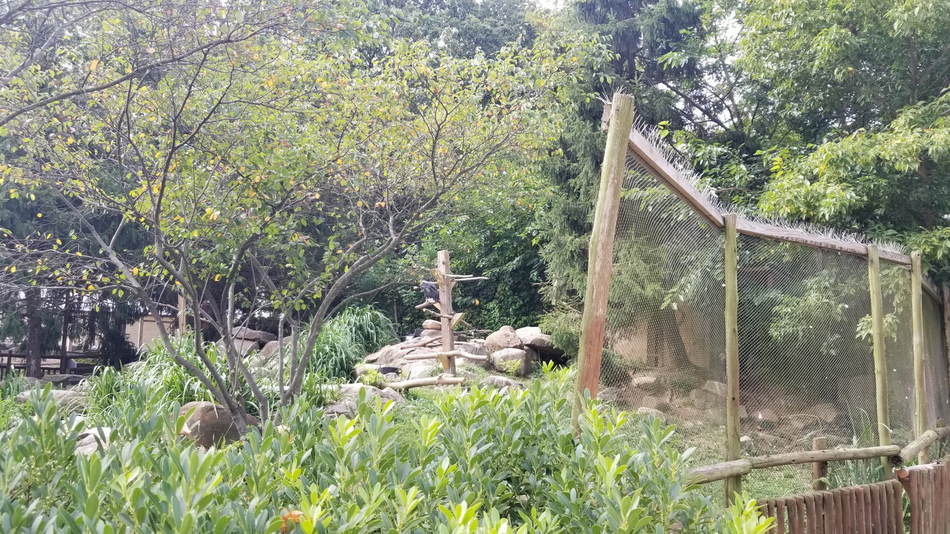 Elmwood Park - Eagles exhibit