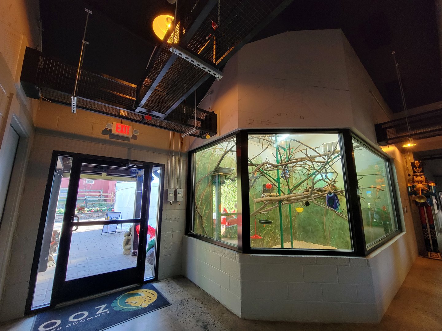 Elmwood Park - Emperor tamarins