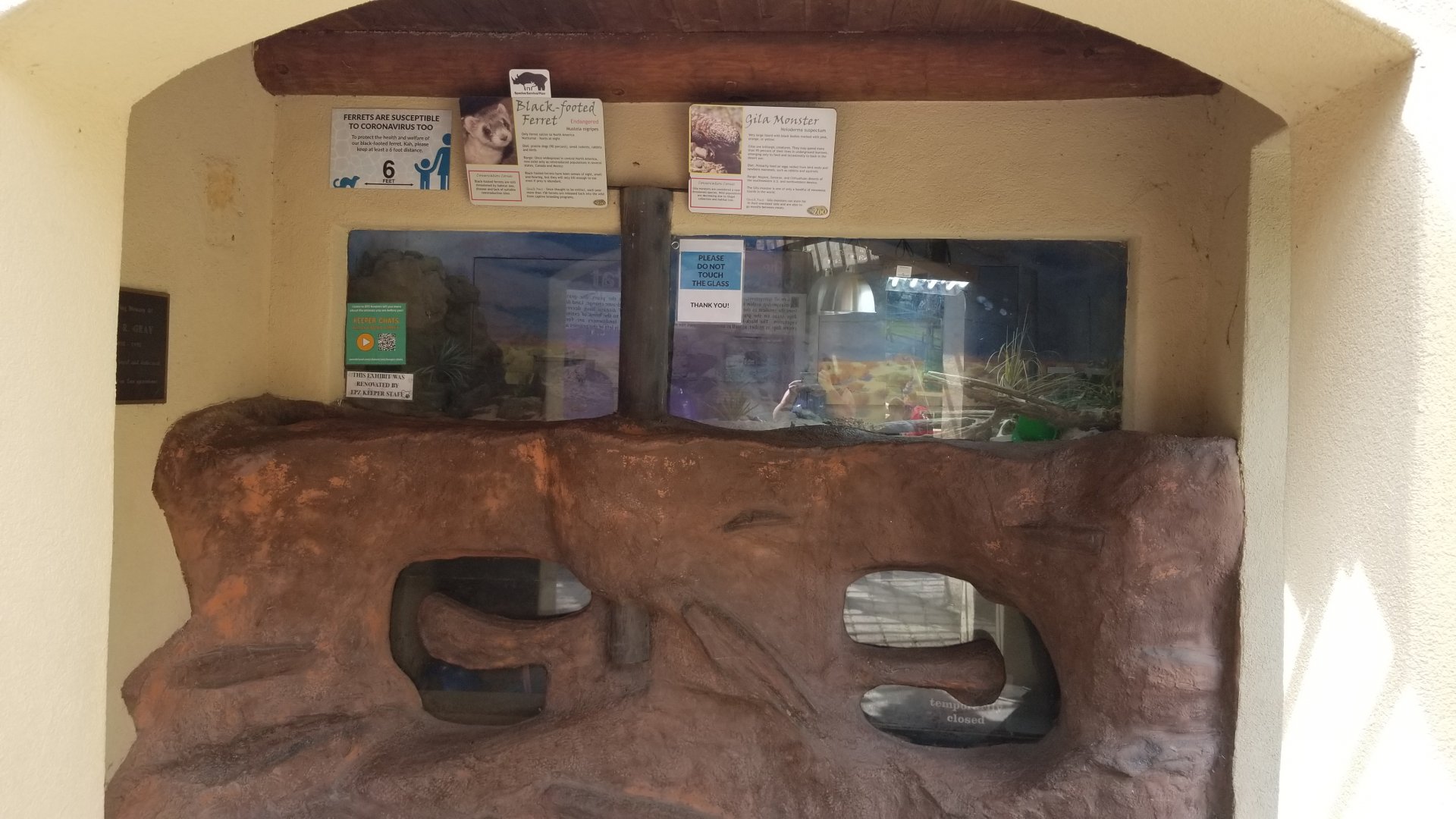 Elmwood Park - Gila monster, blackfooted ferret