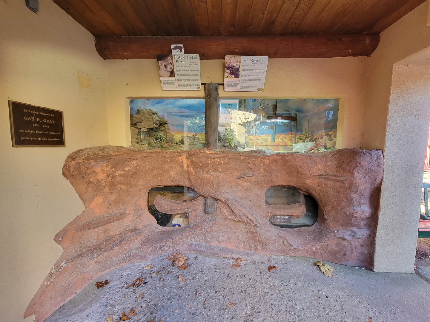 Elmwood Park - Gila monster up top, black-footed ferret below