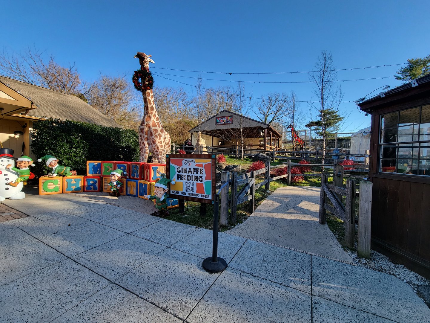 Elmwood Park - Giraffe feeding area