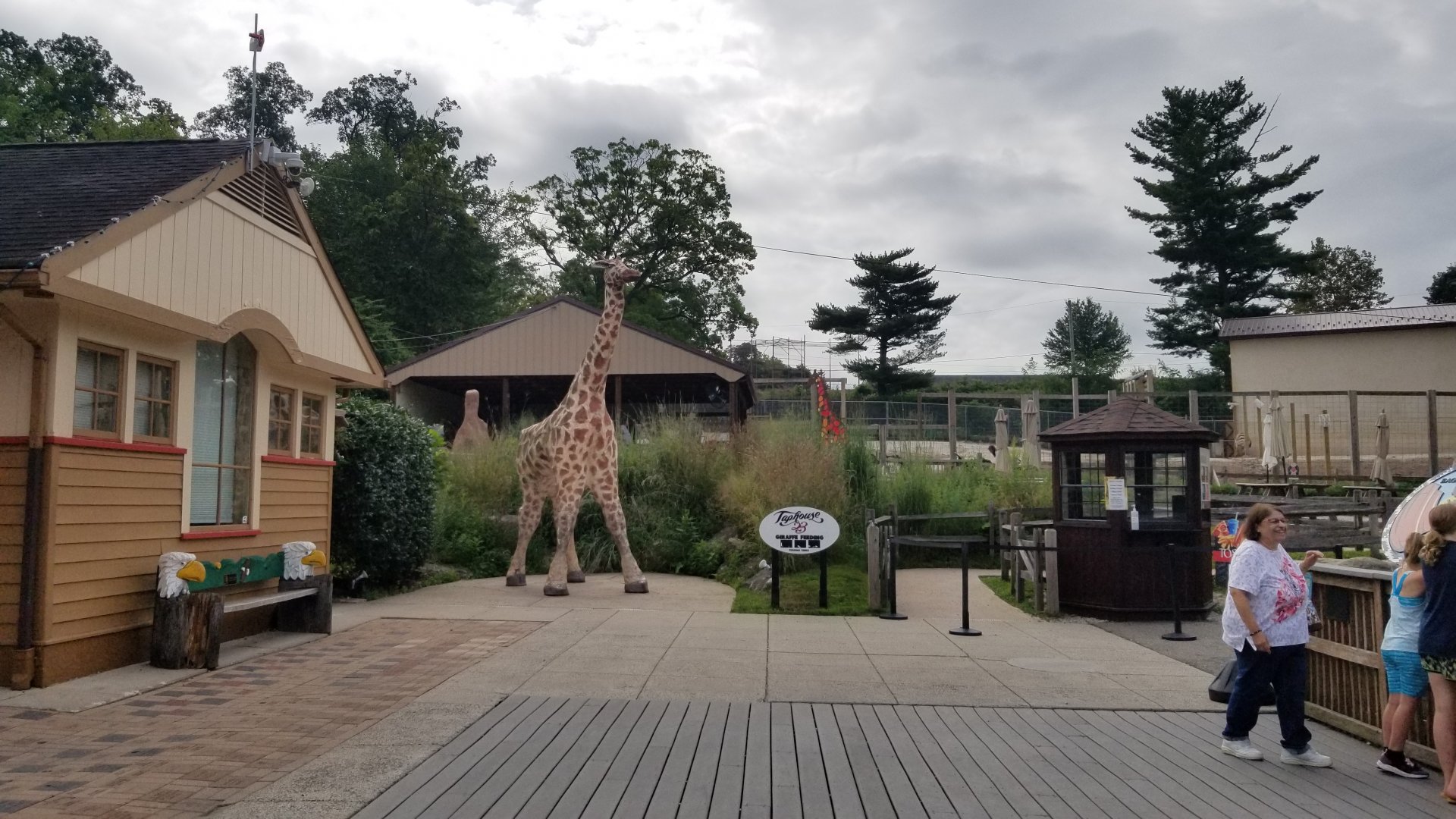 Elmwood Park - Giraffes and mountain zebra