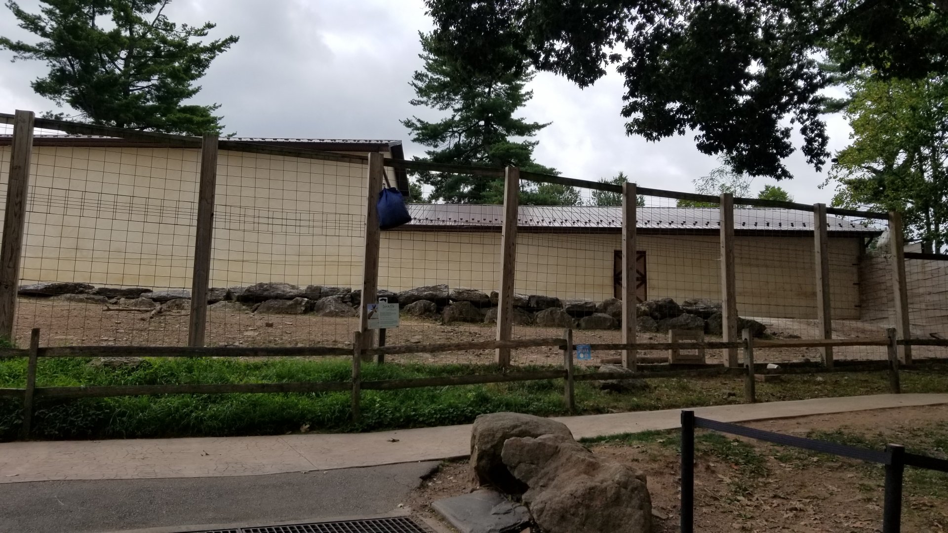 Elmwood Park - Giraffes and mountain zebra