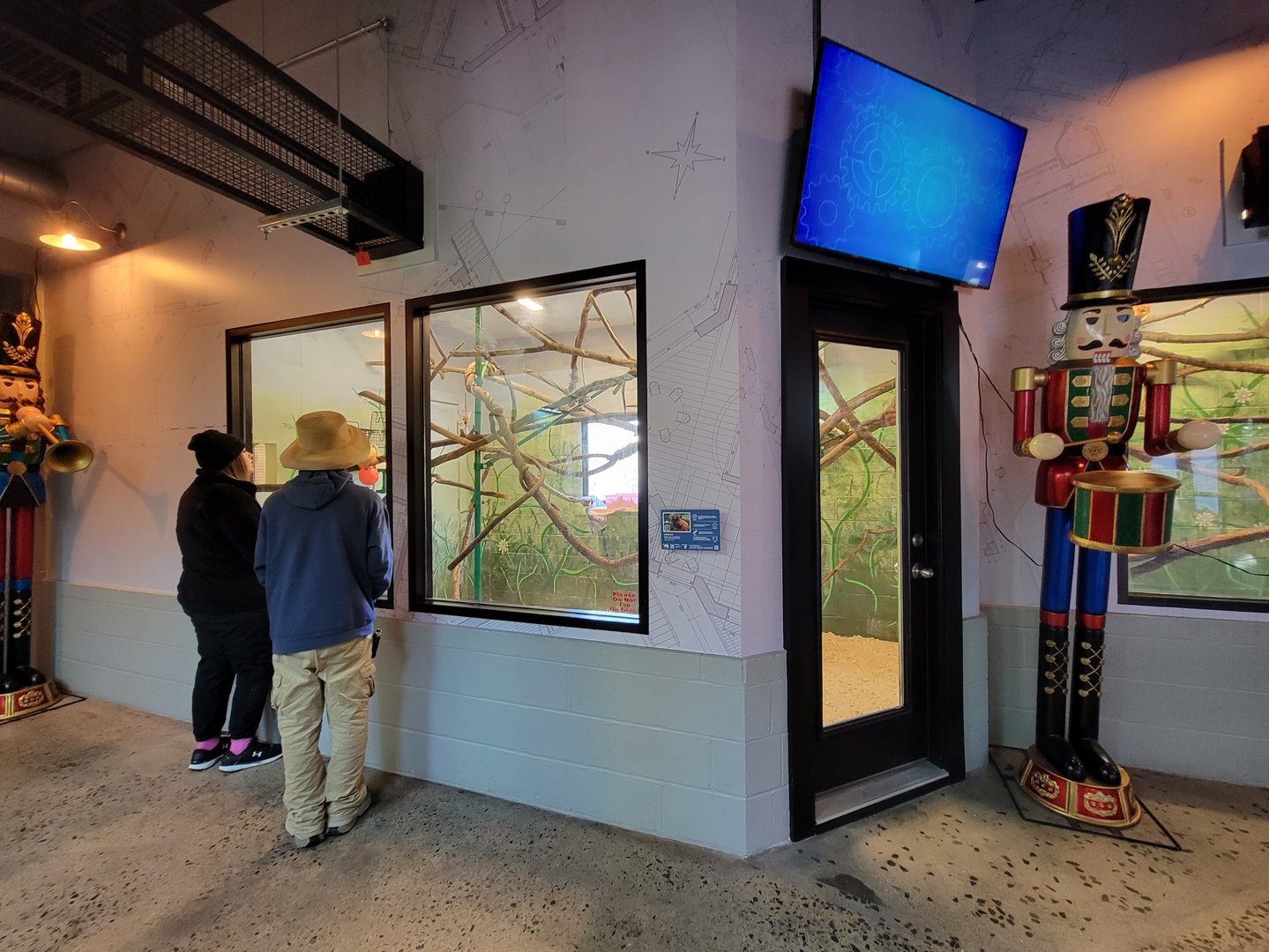 Elmwood Park - Golden lion tamarins