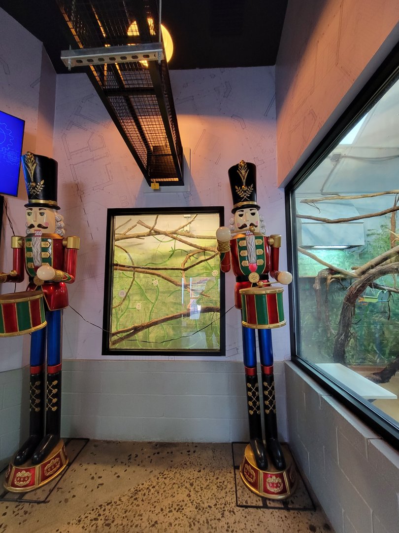 Elmwood Park - Golden lion tamarins