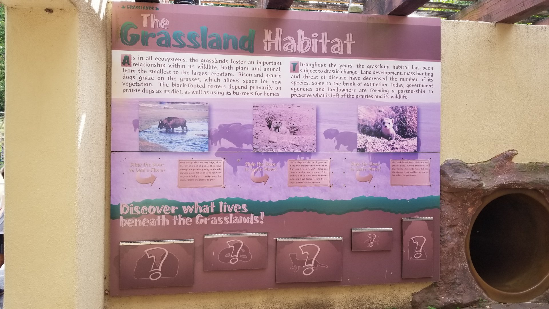 Elmwood Park - Grasslands signage, kids tunnel