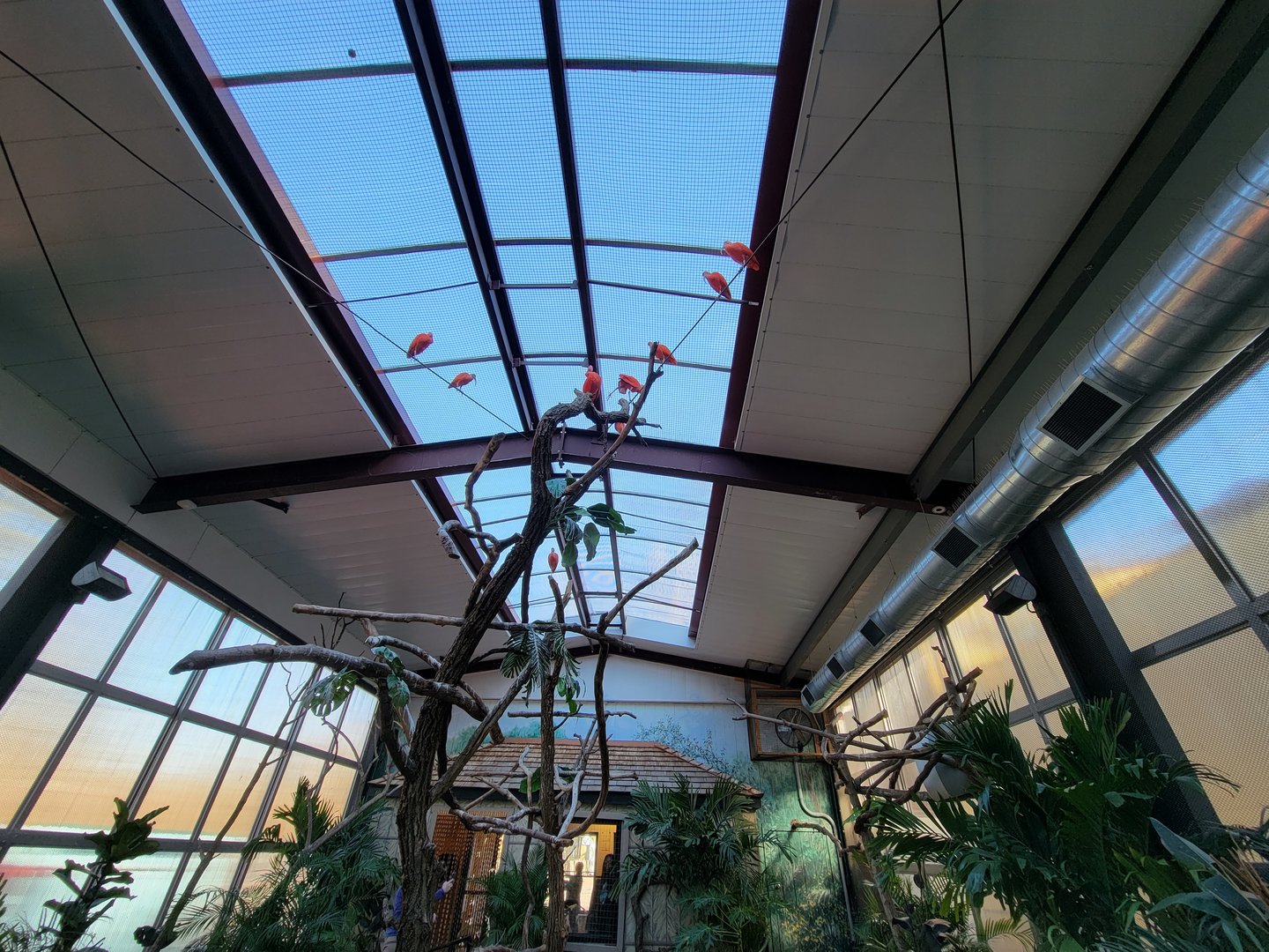 Elmwood Park - Harmony Hideaway, looking back to entrance/exit