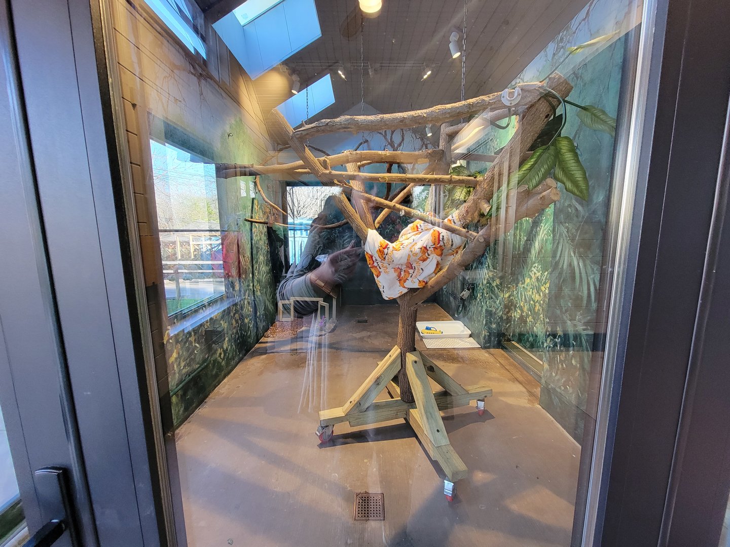 Elmwood Park - Harmony Hideaway, Sloth area