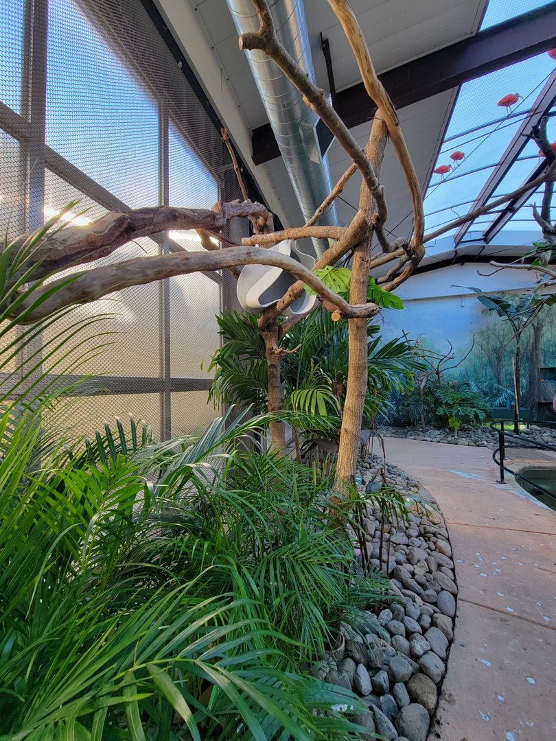 Elmwood Park - Harmony Hideaway