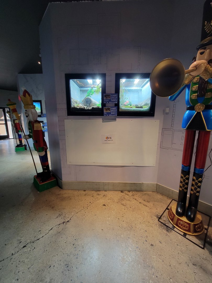 Elmwood Park - I'm too short for this :( Eastern box turtle, spotted turtle