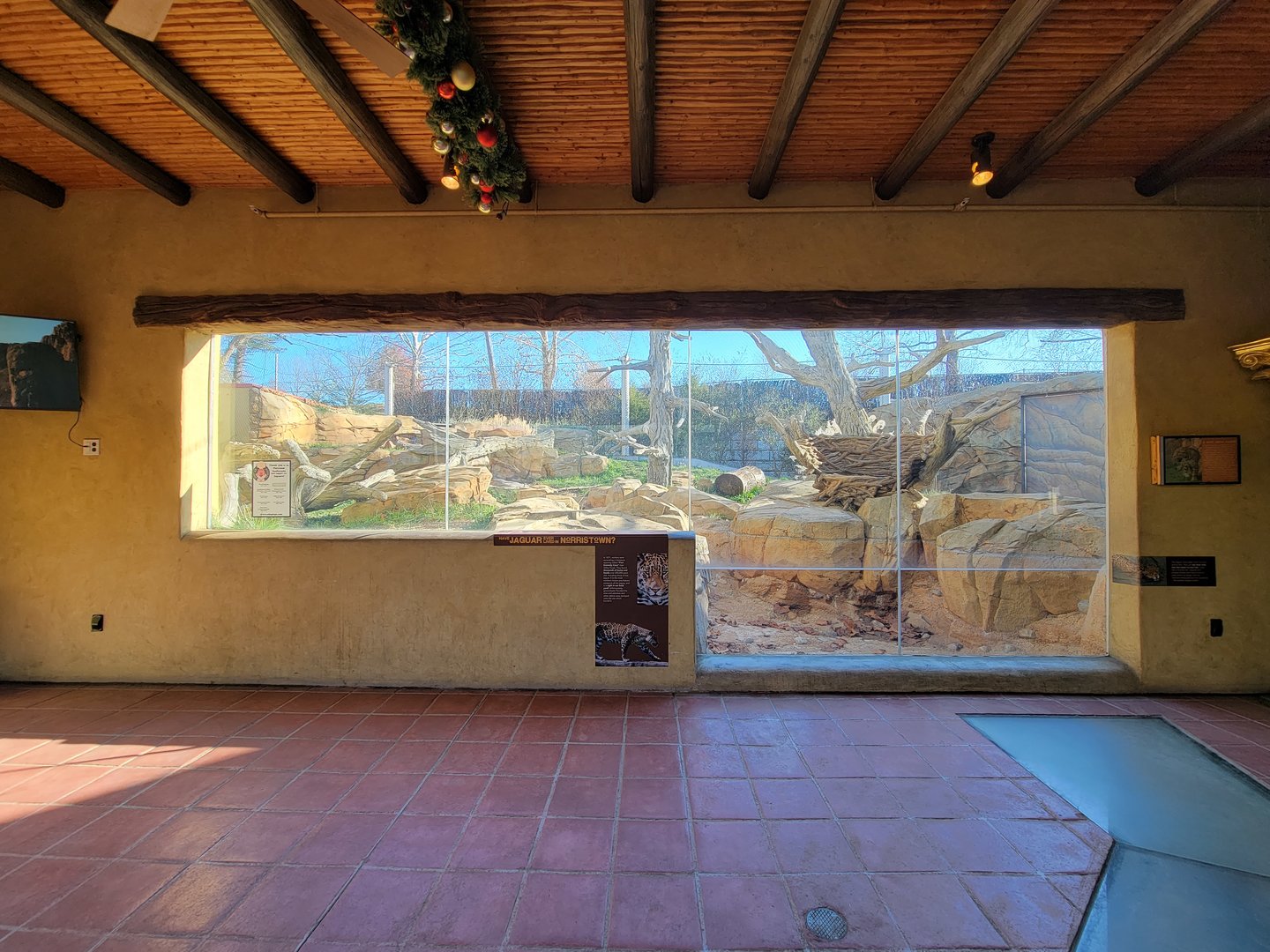 Elmwood Park - Jaguar