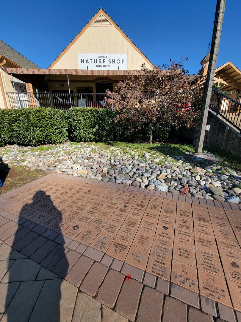 Elmwood Park - Nature shop from inside zoo, and donation bricks that will be moved to outside new entrance