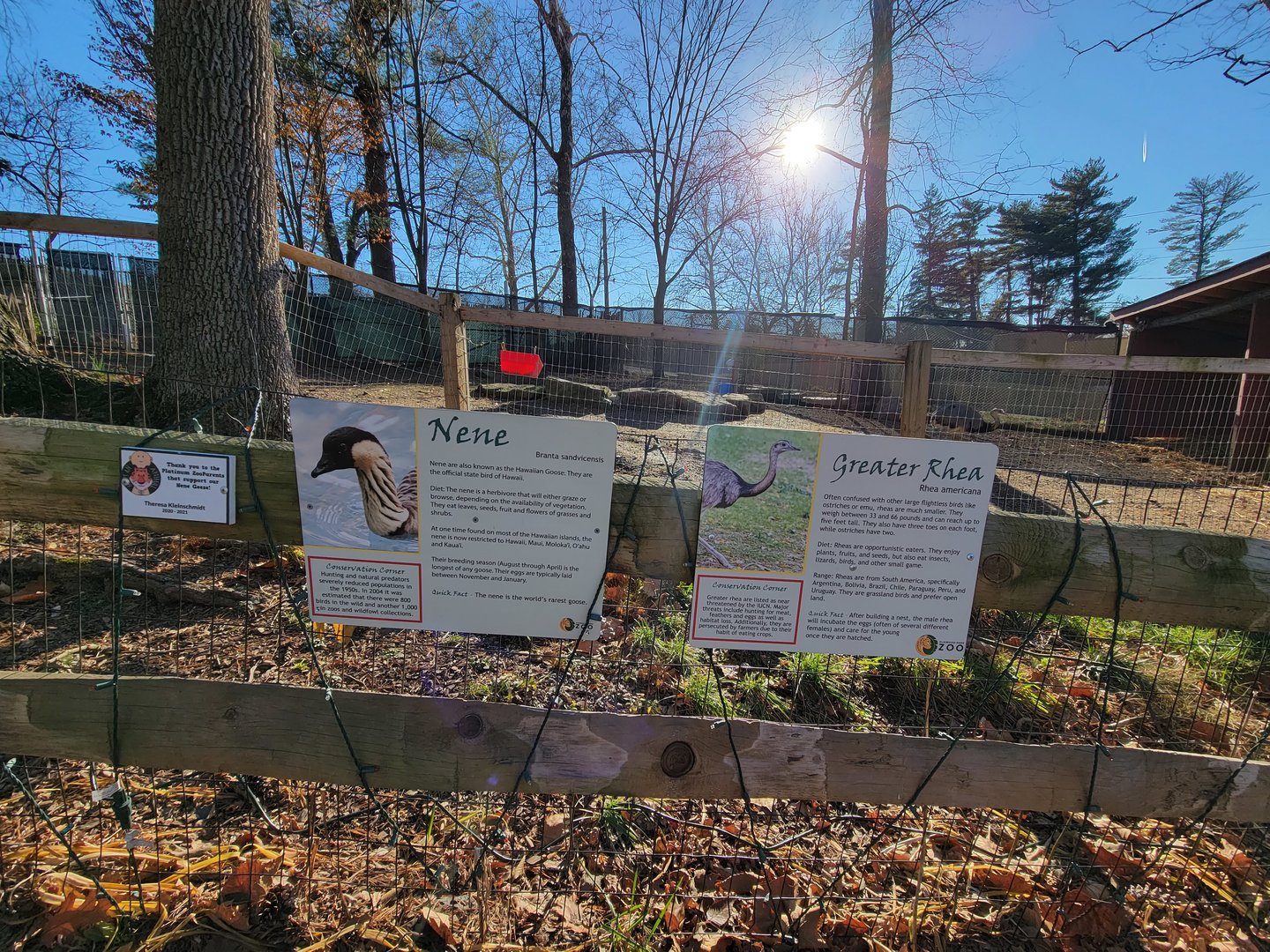 Elmwood Park - Nene signed by rhea?