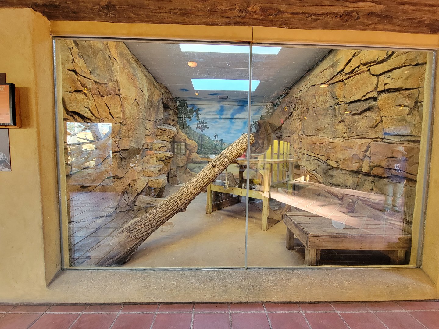 Elmwood Park - Ocelot/cougar rotational indoor area