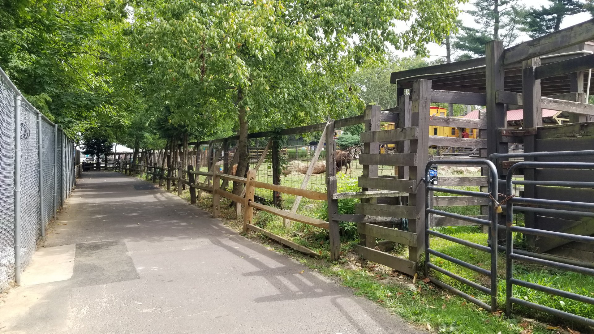 Elmwood Park - Path by bison yard