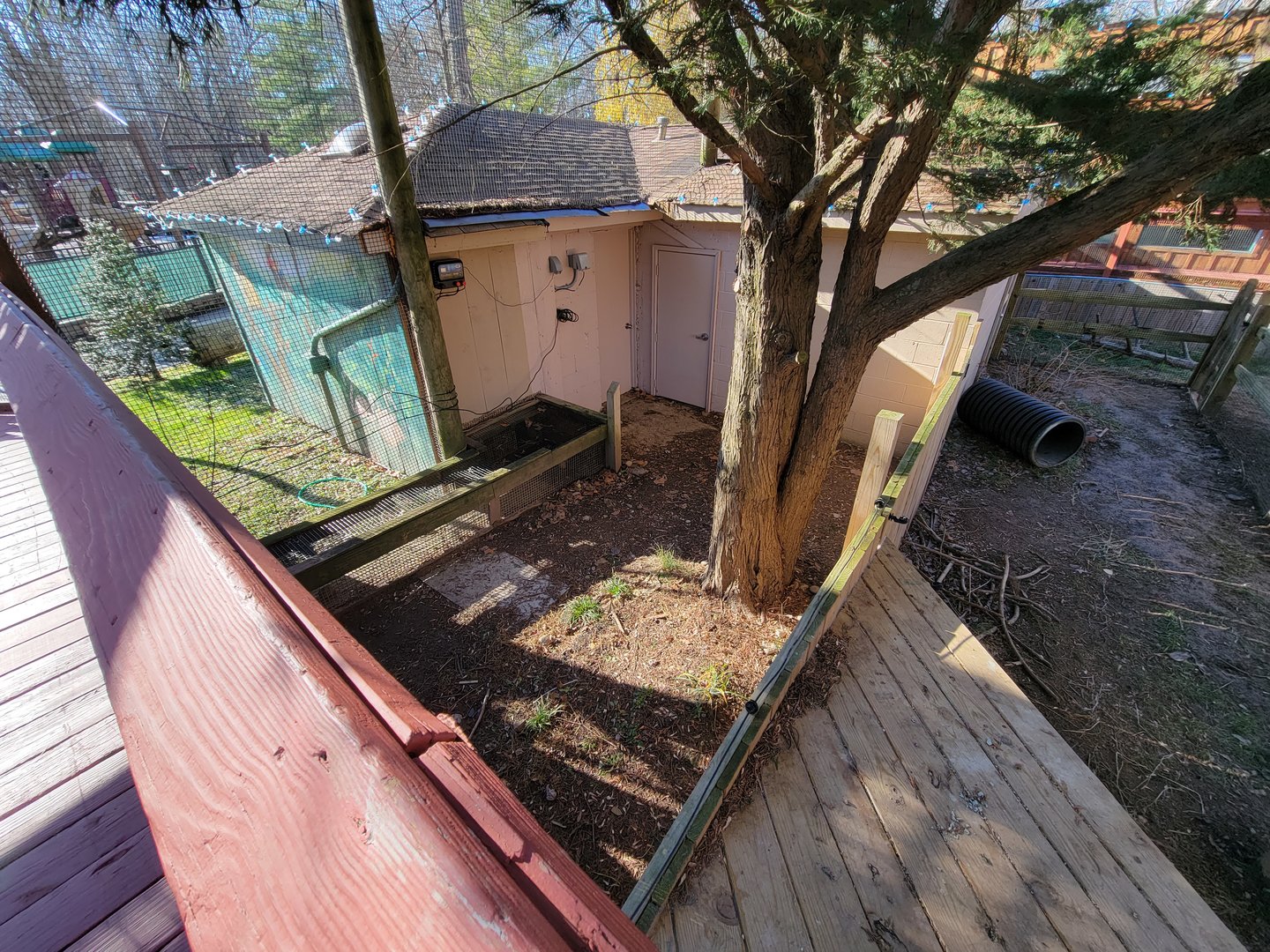 Elmwood Park - Path for otters into building