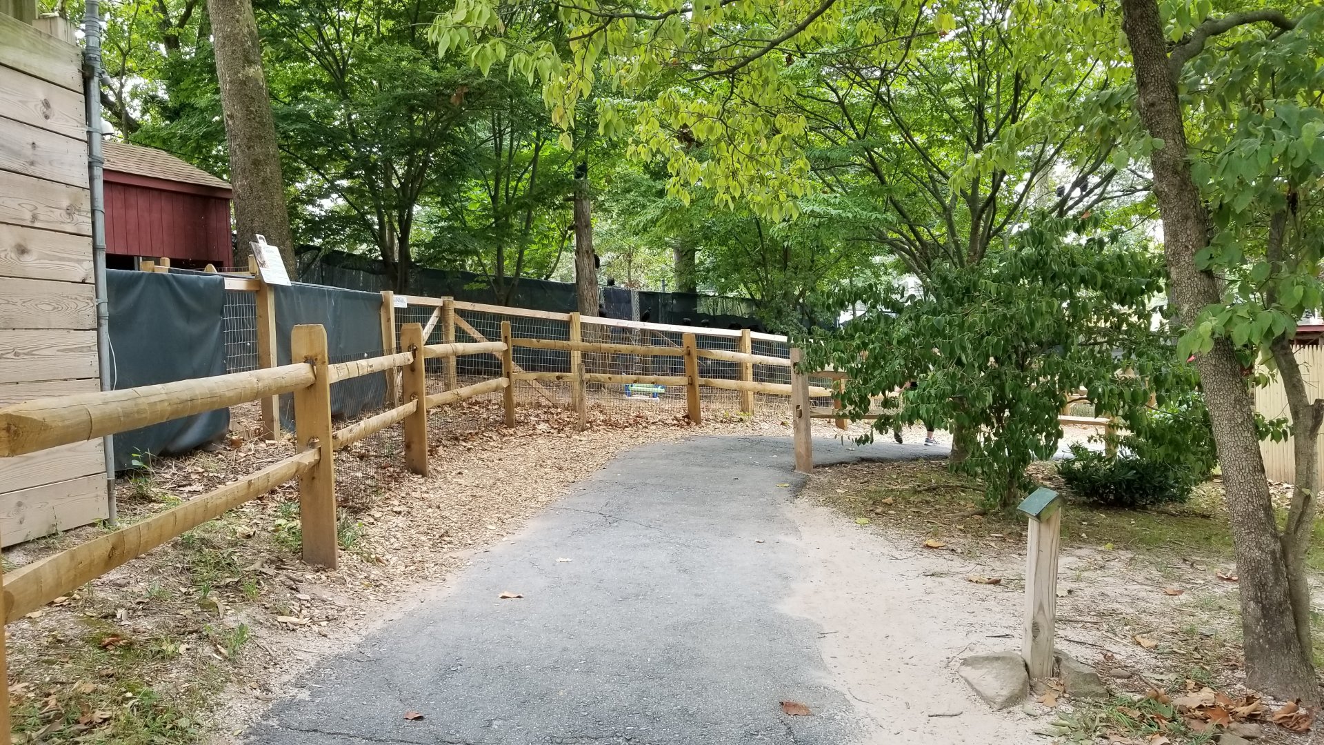 Elmwood Park - Path from giraffes to peccary