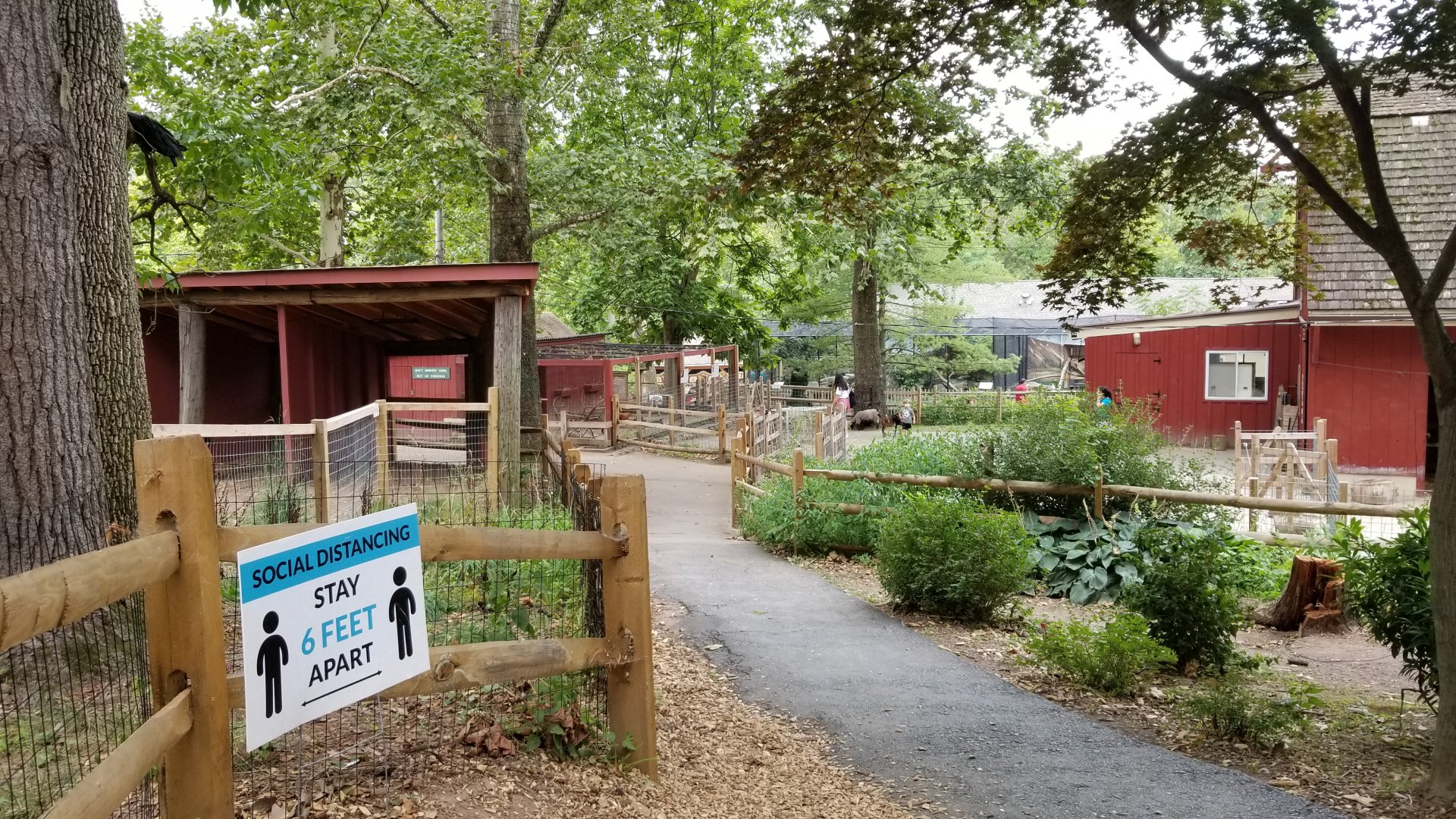 Elmwood Park - Path from peccaries to back of barn