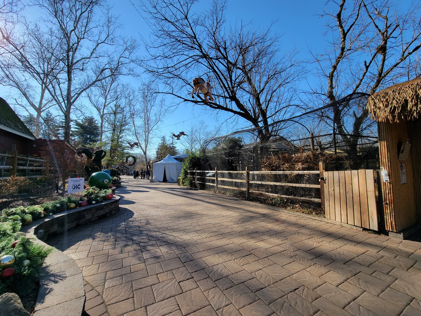 Elmwood Park - Path, saki/mara on right