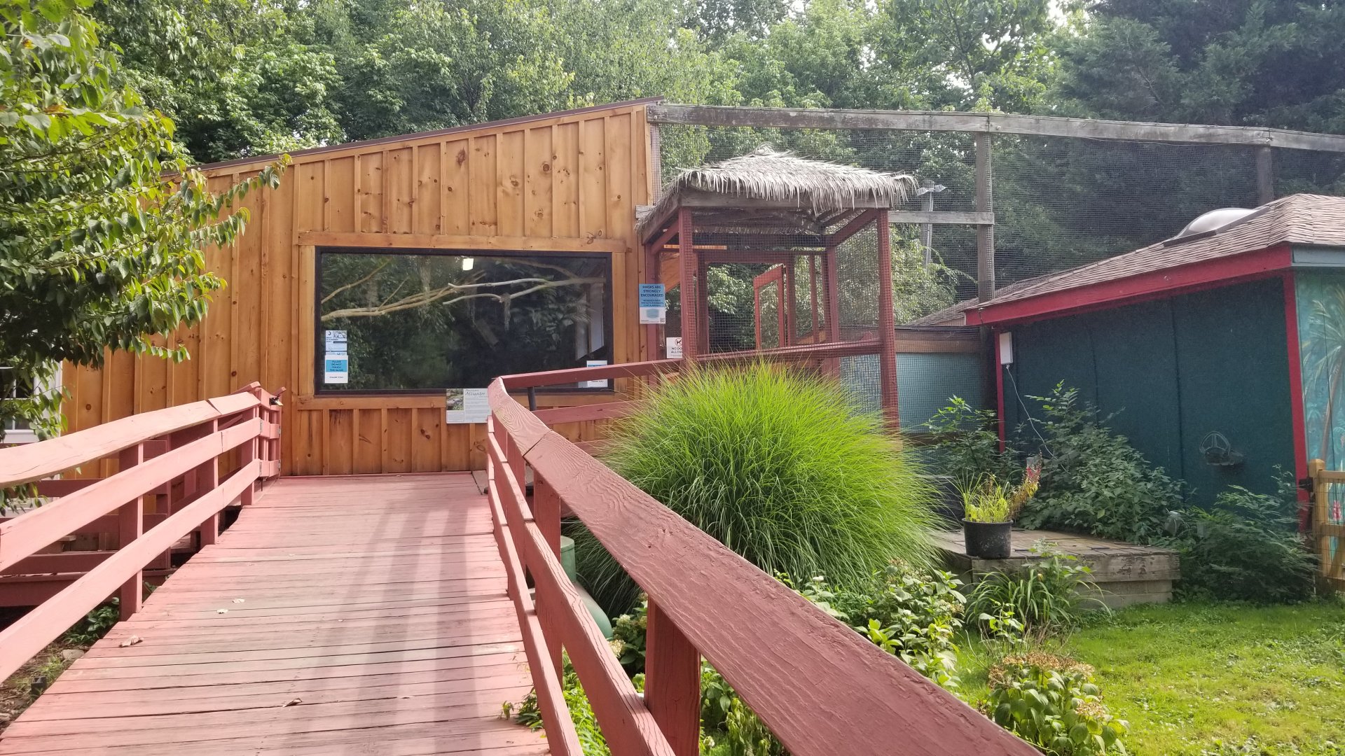 Elmwood Park - Ramp to alligator, bobcat, porcupine, otters, nene