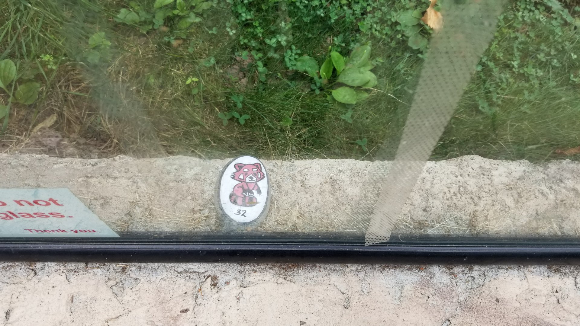 Elmwood Park - Red panda scavenger rock