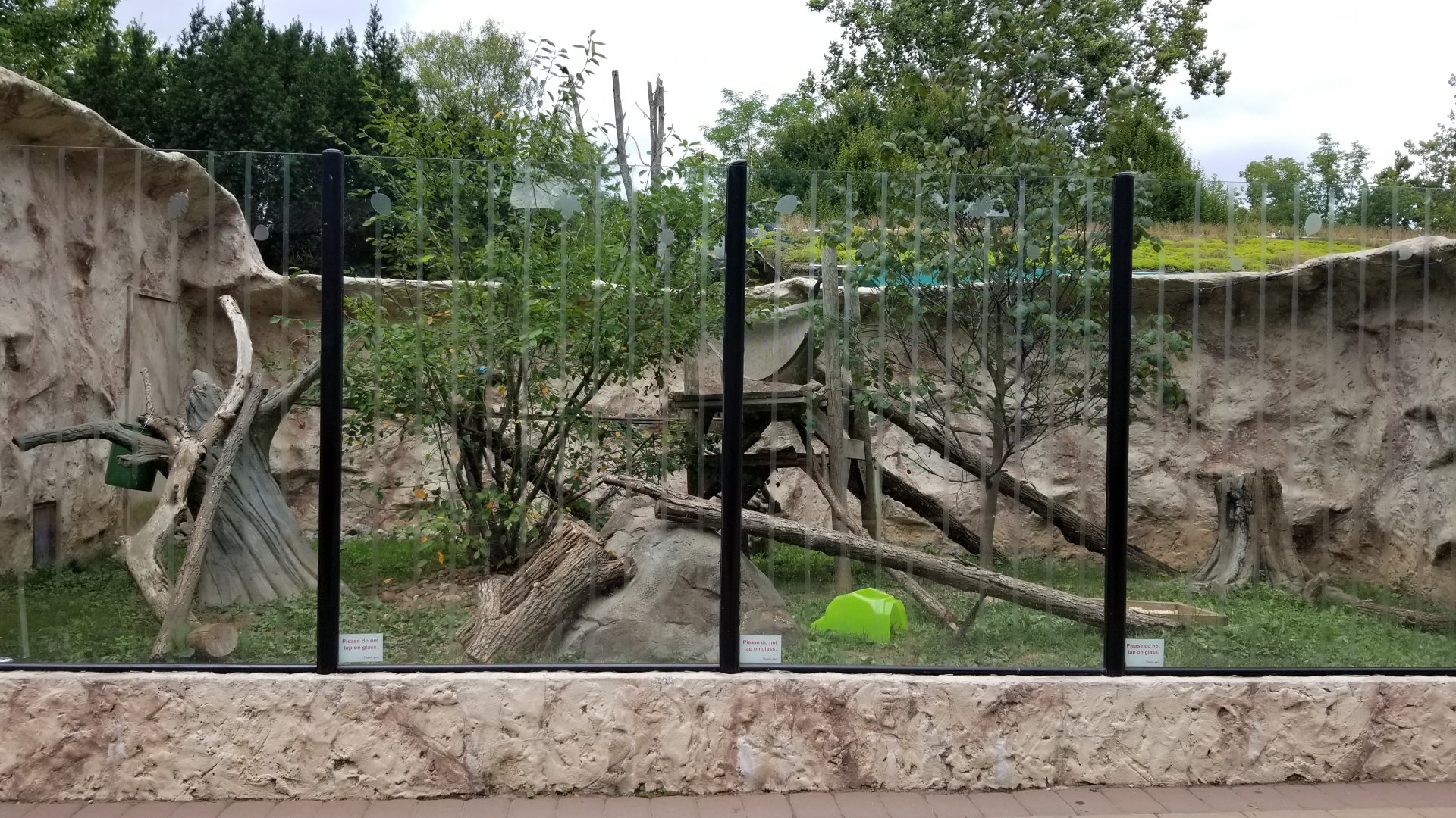 Elmwood Park - Red panda