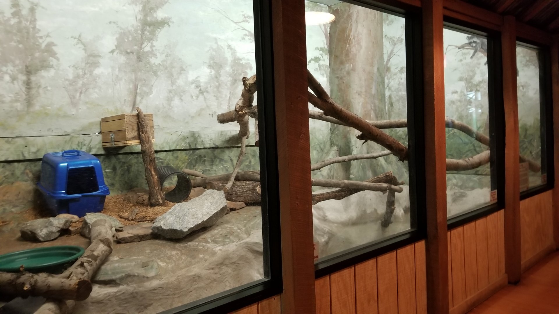 Elmwood Park - Red-tailed boa exhibit (empty)