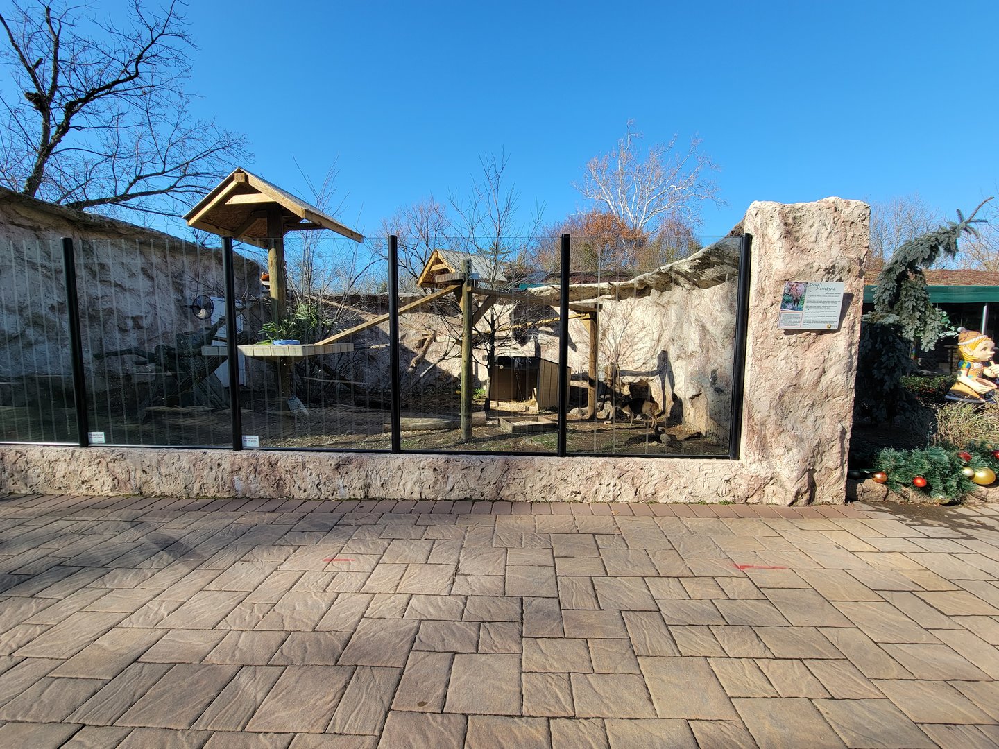 Elmwood Park - Reeve's muntjac/red panda