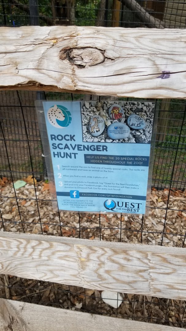 Elmwood Park - Rock Scavenger Hunt