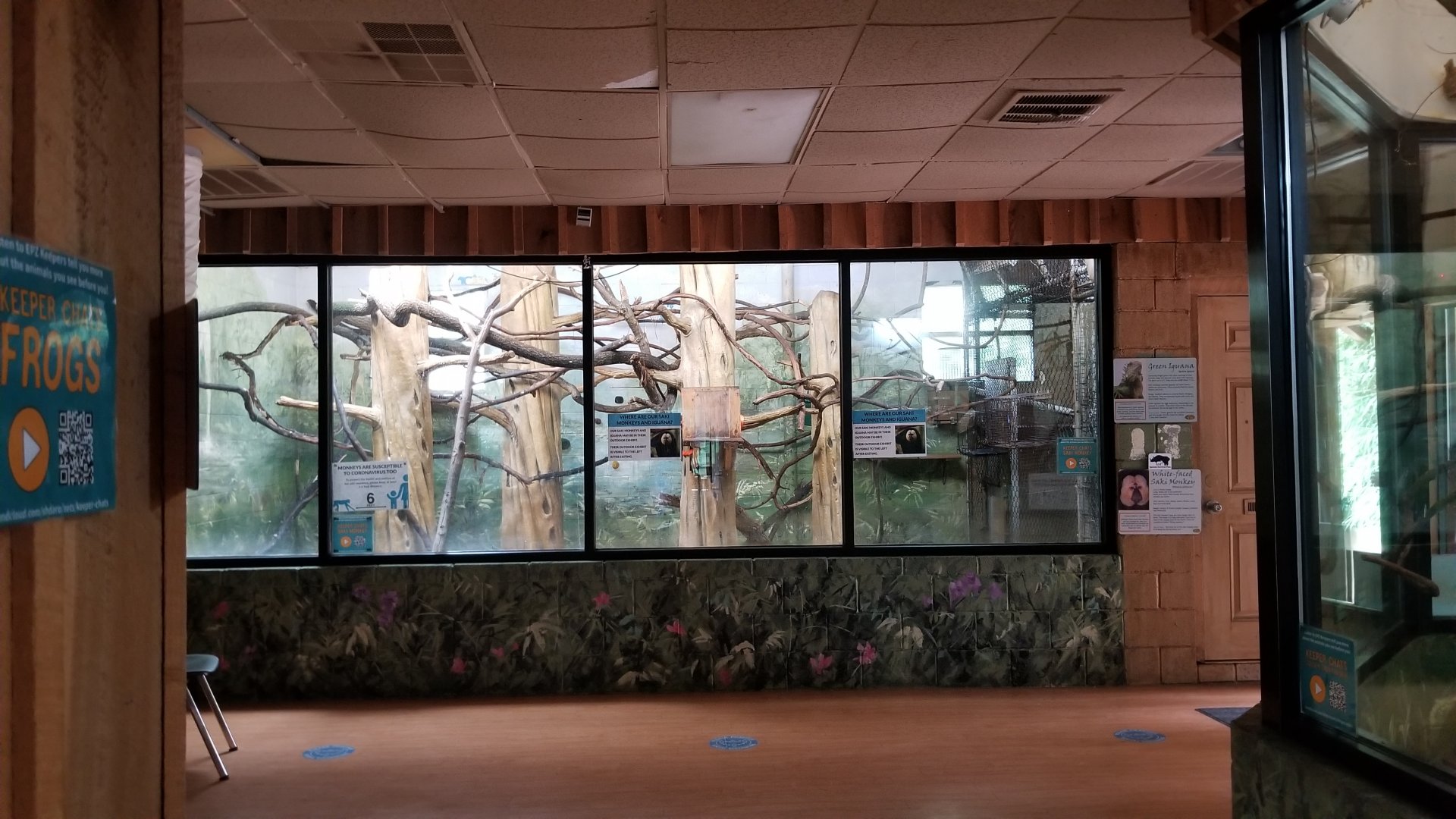 Elmwood Park - Saki, iguana indoor area