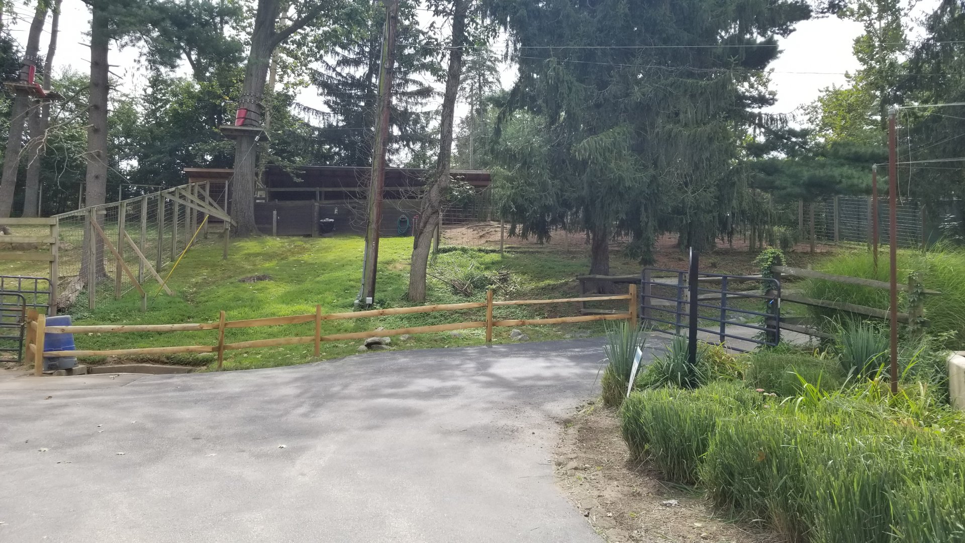 Elmwood Park - Secondary elk exhibit