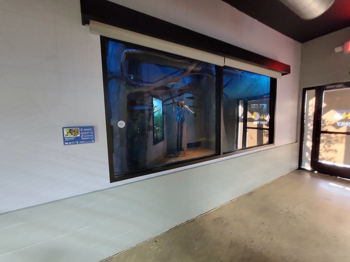 Elmwood Park - Straw-colored fruit bats