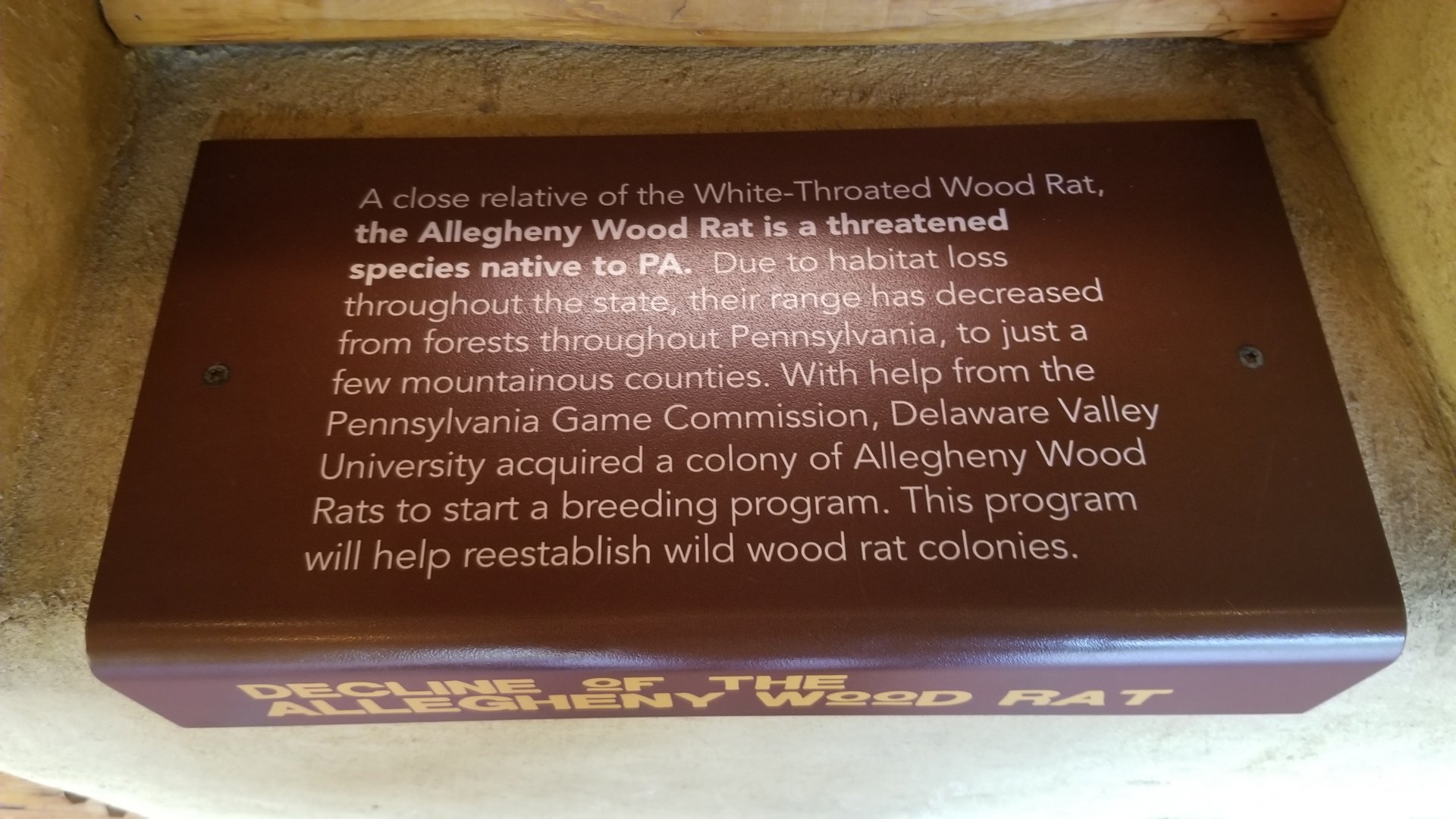 Elmwood Park - Trail of the Jaguar, Allegheny Woodrat info sign