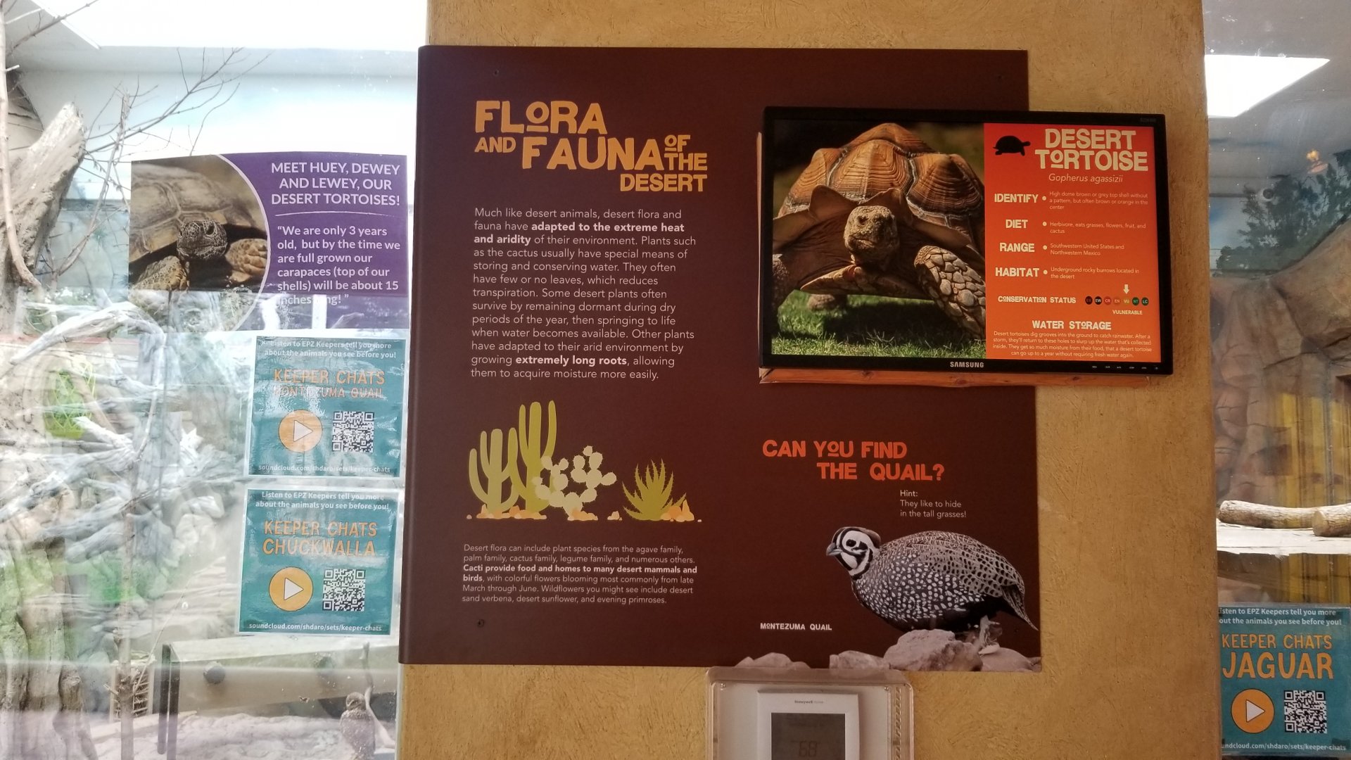 Elmwood Park - Trail of the Jaguar, birds and herps signage