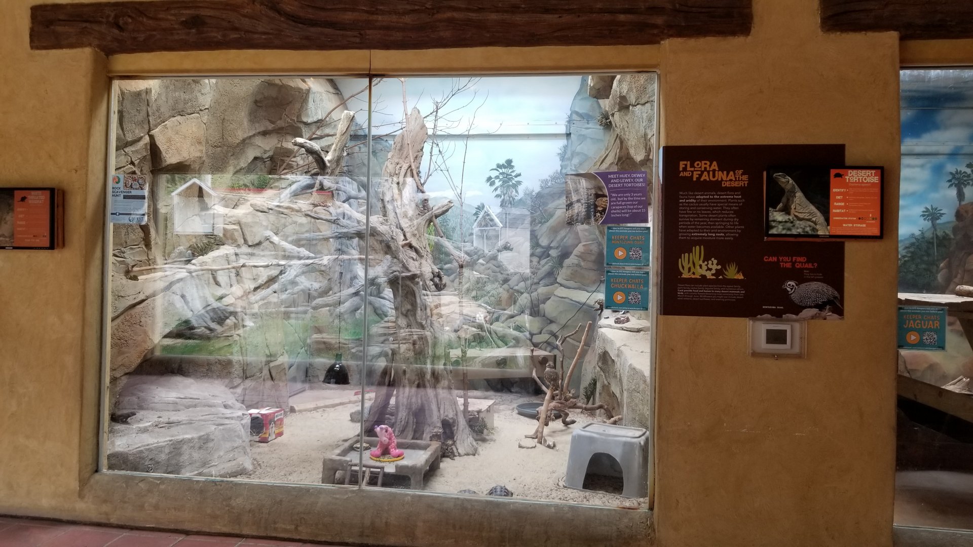 Elmwood Park - Trail of the Jaguar, birds and herps