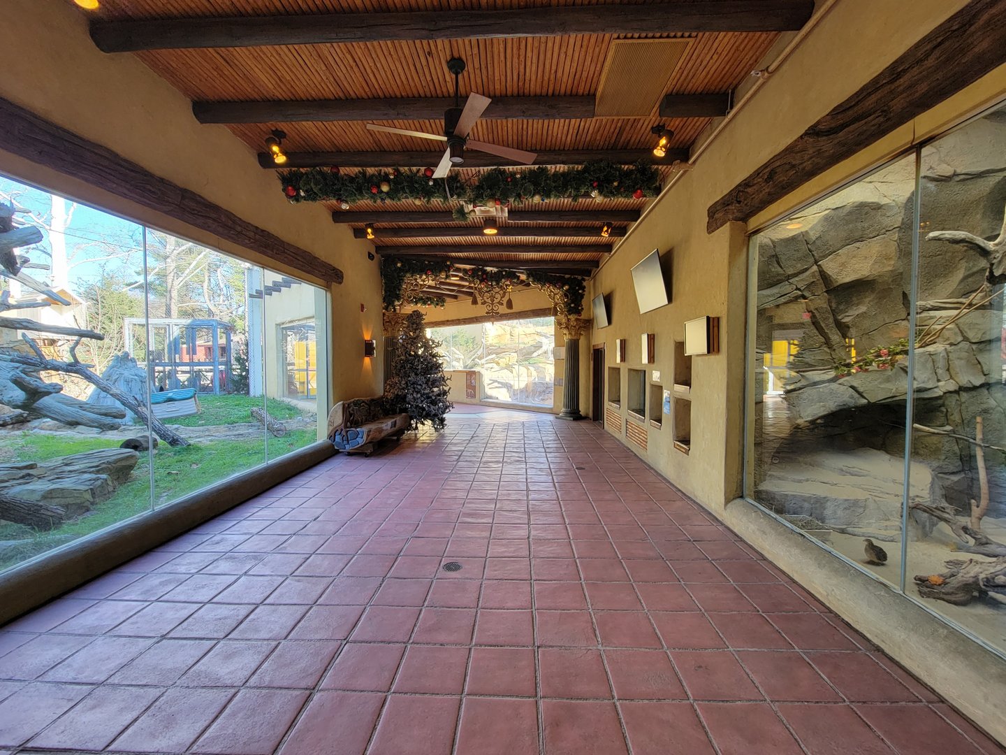 Elmwood Park - Trail of the Jaguar building