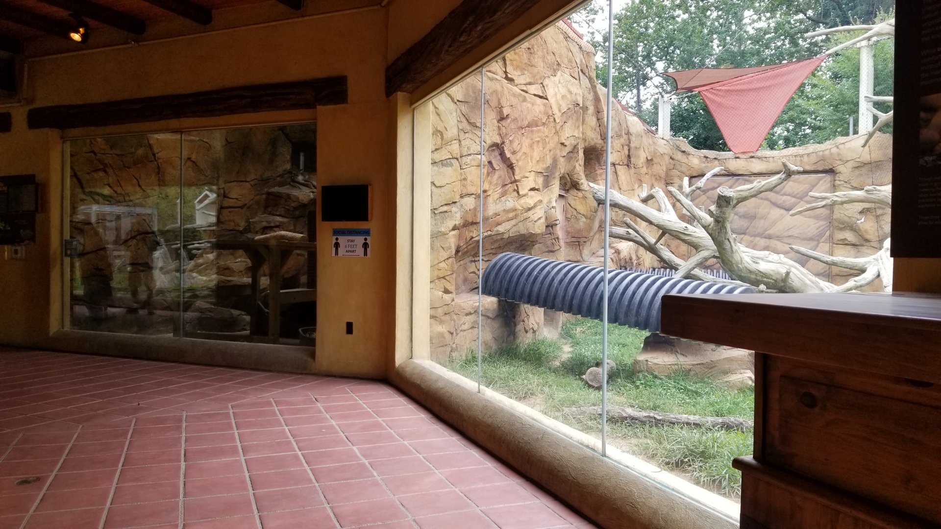 Elmwood Park - Trail of the Jaguar, Cougar indoor/outdoor areas