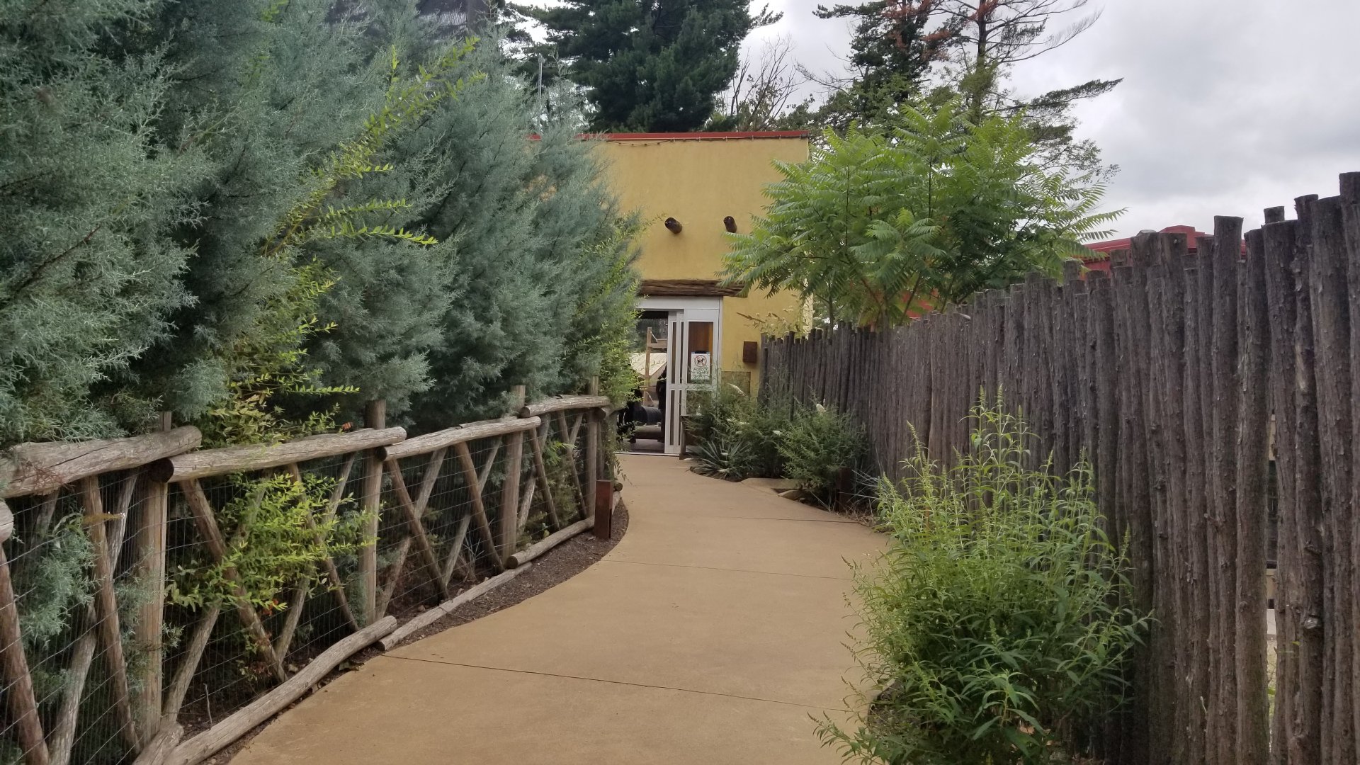 Elmwood Park - Trail of the Jaguar entrance path