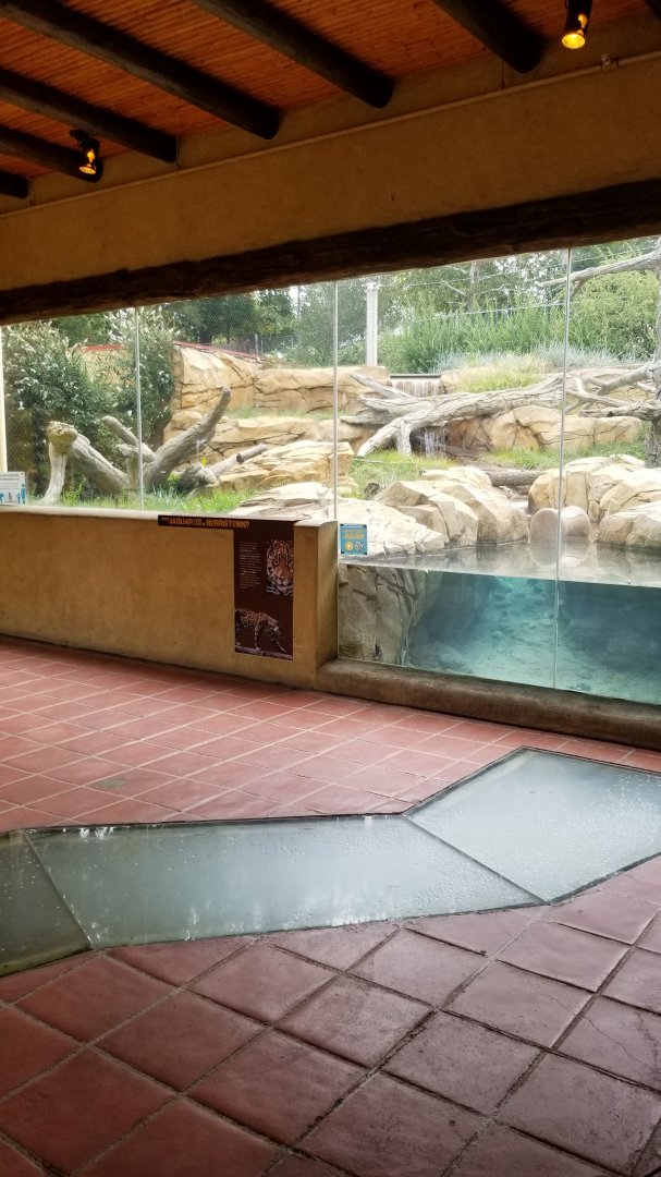 Elmwood Park - Trail of the Jaguar, Jaguar exhibit and stream connecting it to ocelot