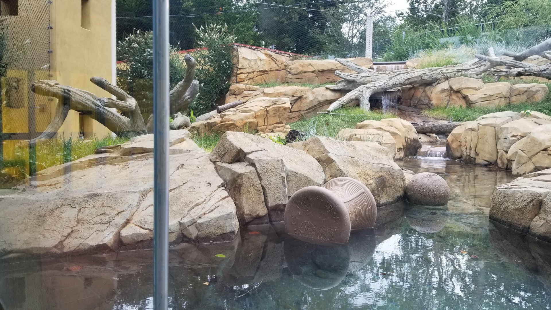 Elmwood Park - Trail of the Jaguar, Jaguar exhibit, find the cat :)