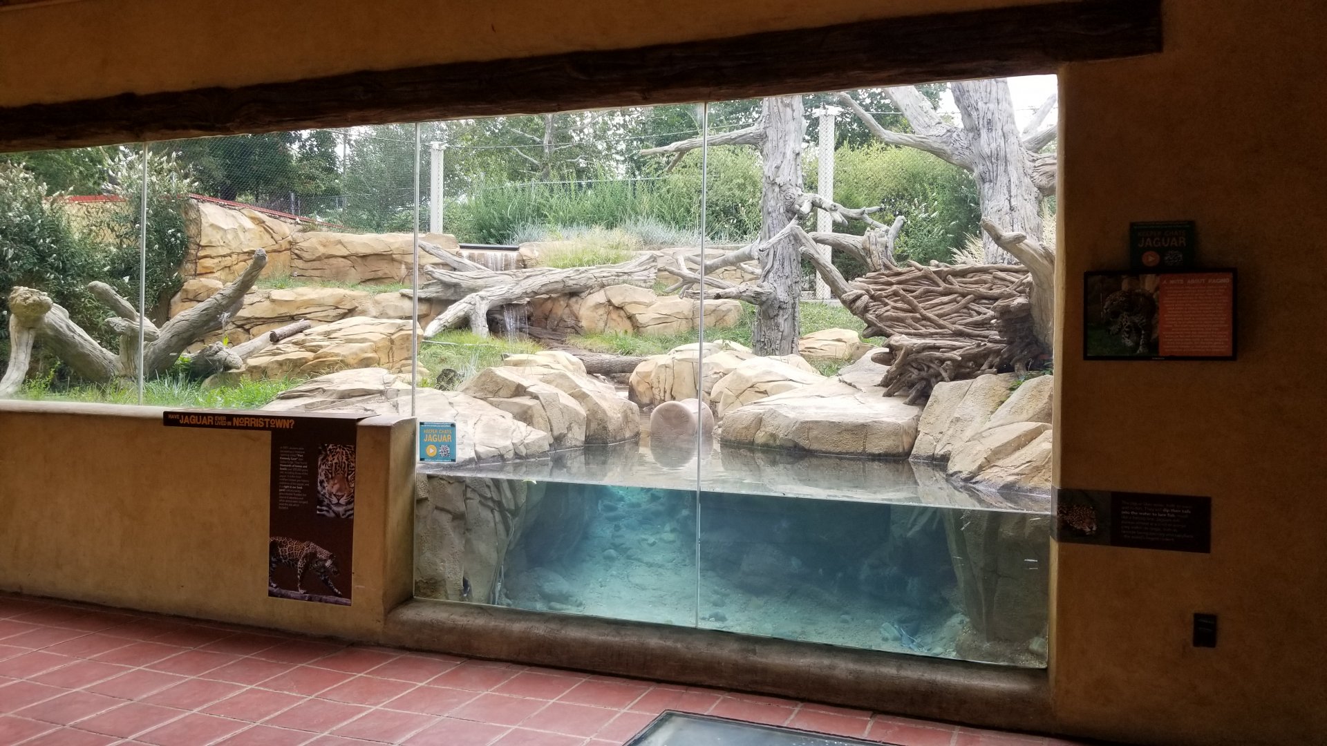 Elmwood Park - Trail of the Jaguar, Jaguar exhibit