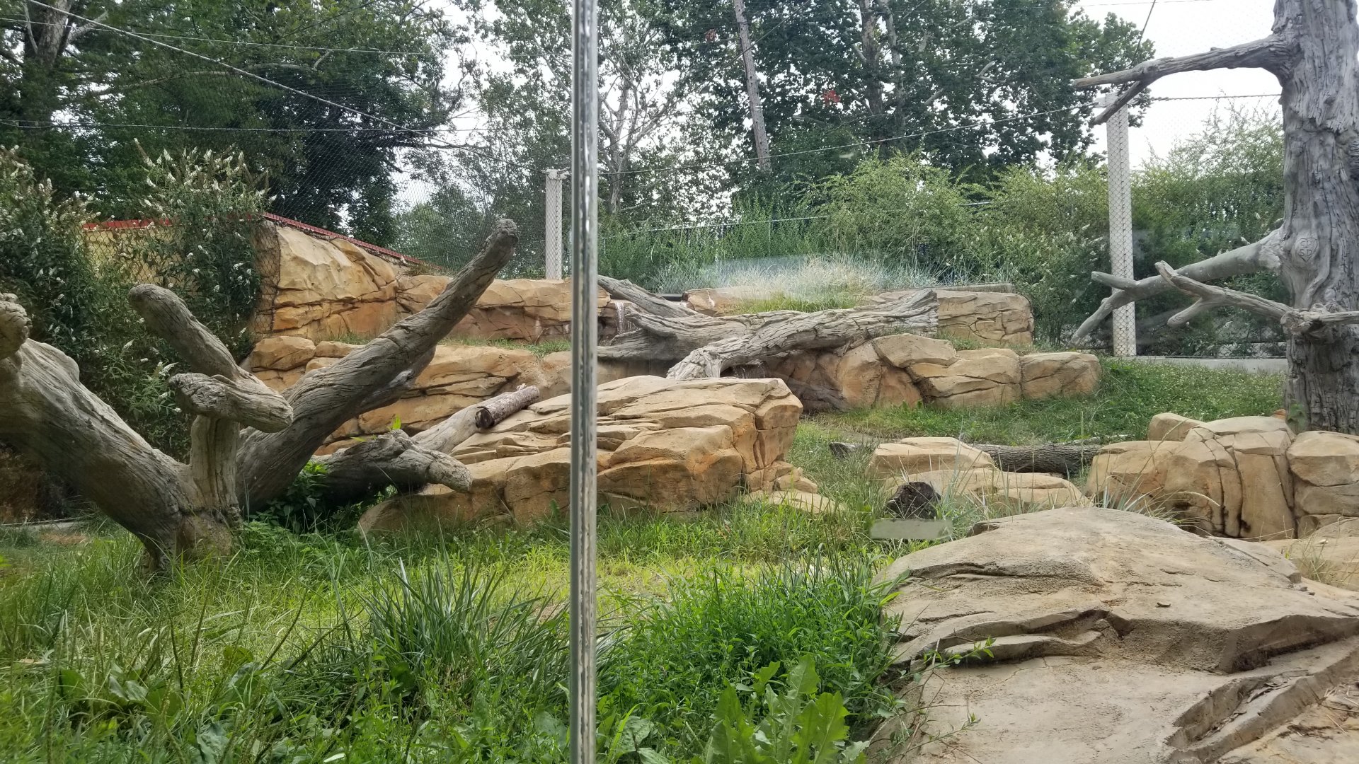 Elmwood Park - Trail of the Jaguar, Jaguar exhibit