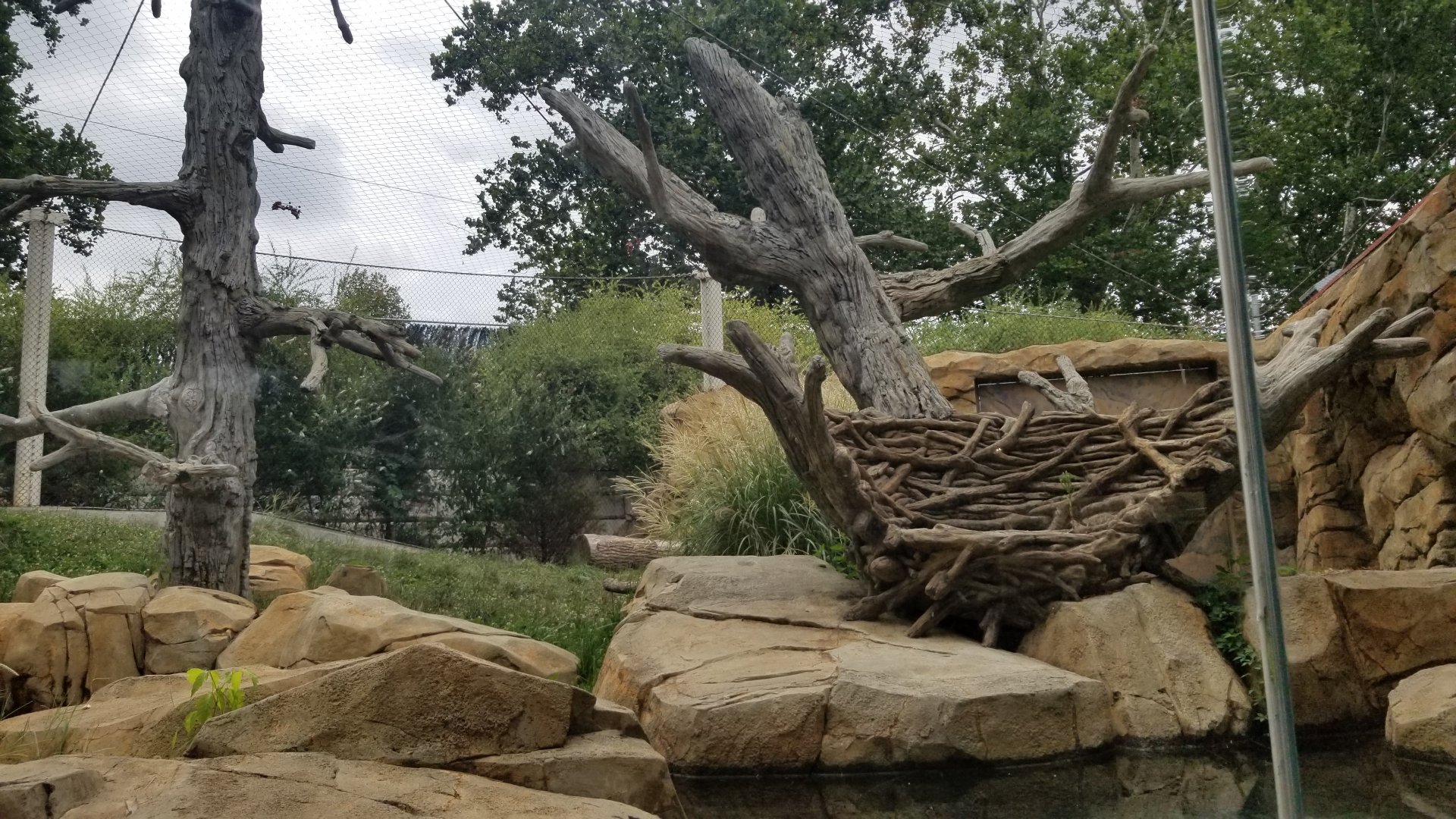 Elmwood Park - Trail of the Jaguar, Jaguar exhibit